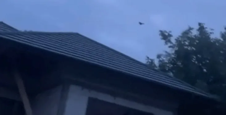 Un obiect mic zboară pe cerul înstelat deasupra acoperișului unei clădiri și a unor copaci.