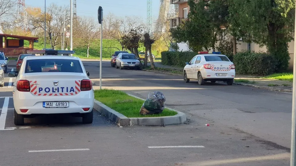 Două mașini de poliție albe sunt parcate pe un drum asfaltat lângă o zonă cu iarbă și copaci.
