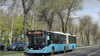 Un autobuz albastru cu articulație circulă pe un drum asfaltat lângă un trotuar și copaci înalți sub un cer înnorat.