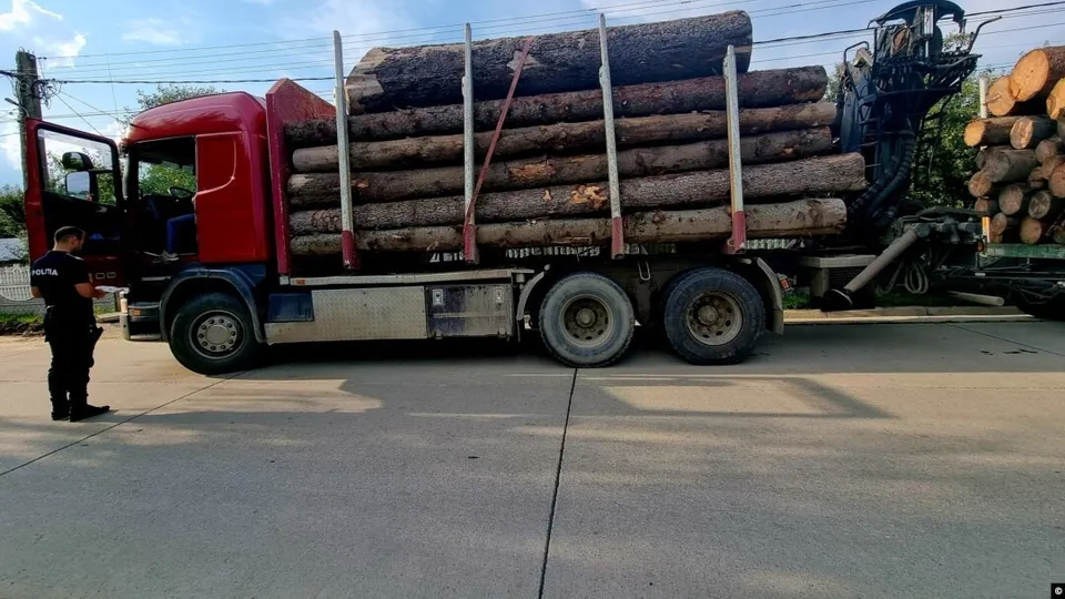 Un camion roșu transportă bușteni de lemn pe un drum asfaltat lângă un utilaj de încărcare.