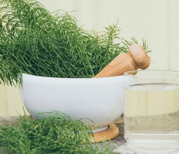 O cuvă albă cu un pilon de lemn conținând o plantă verde subțire, alături de un pahar cu lichid clar și o mână de plantă proaspătă pe fundal deschis.
