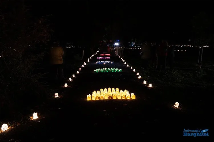 Multe lumânări aprinse în suporturi de hârtie sunt așezate pe un drum întunecat, formând linii și grupuri luminoase în noapte.