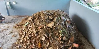 Un morman de frunze uscate și resturi vegetale este situat pe un podea de beton lângă un perete gri.