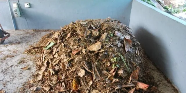 Un morman de frunze uscate și resturi vegetale este situat pe un podea de beton lângă un perete gri.