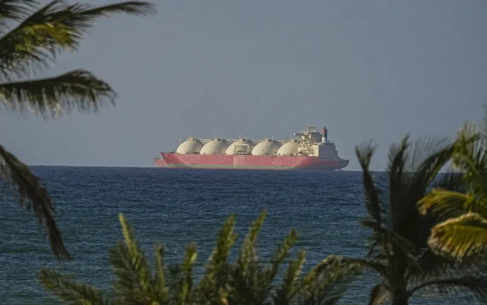Un vapor mare cu rezervoare rotunde albe pe un vas roz navighează pe o suprafață de apă sub un cer senin, încadrat de frunze de palmier.