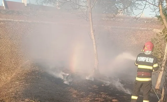 Un pompier cu echipament de protecție și cască roșie pulverizează apă pe un teren cu vegetație arsă și fum în presence de un copac.