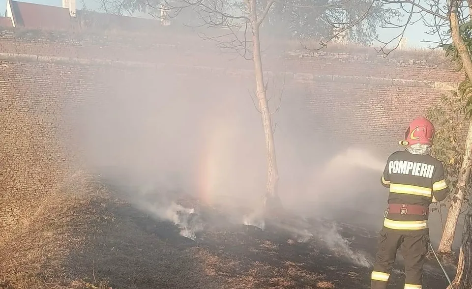 Un pompier cu echipament de protecție și cască roșie pulverizează apă pe un teren cu vegetație arsă și fum în presence de un copac.