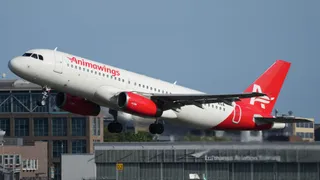 Un avion alb cu însemne roșii și textul Animawings decolă de pe o pistă de lângă clădiri de aeroport.