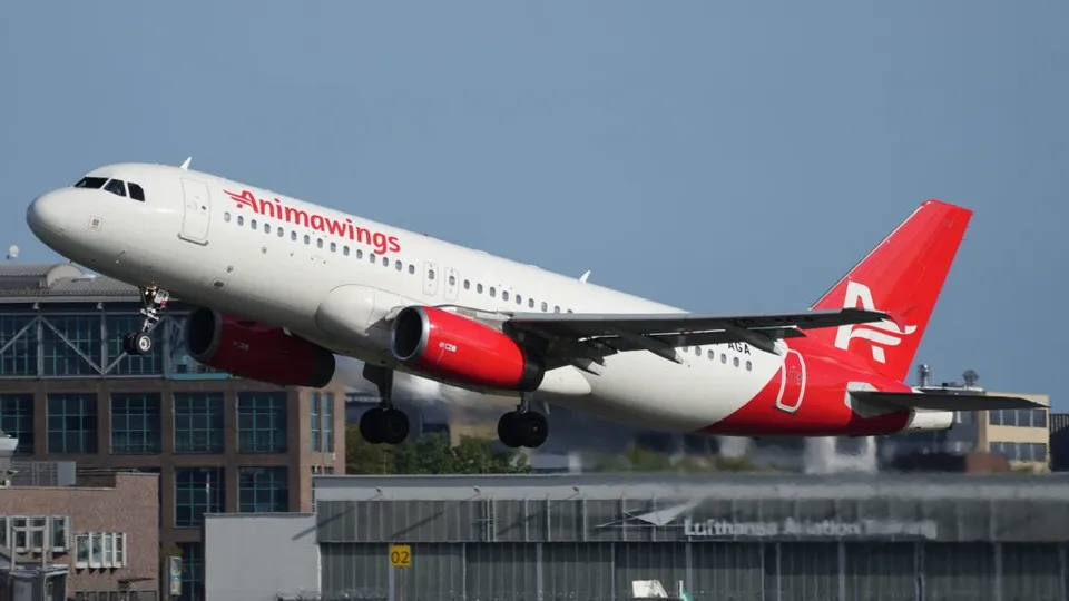 Un avion alb cu însemne roșii și textul Animawings decolă de pe o pistă de lângă clădiri de aeroport.