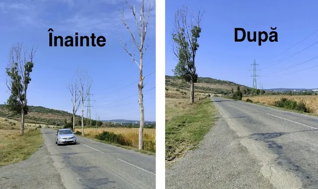 Imagine compusă cu un drum asfaltat, un autoturism argintiu și arbori înalți pe marginea drumului, prezentând o comparație între două stări ale peisajului.