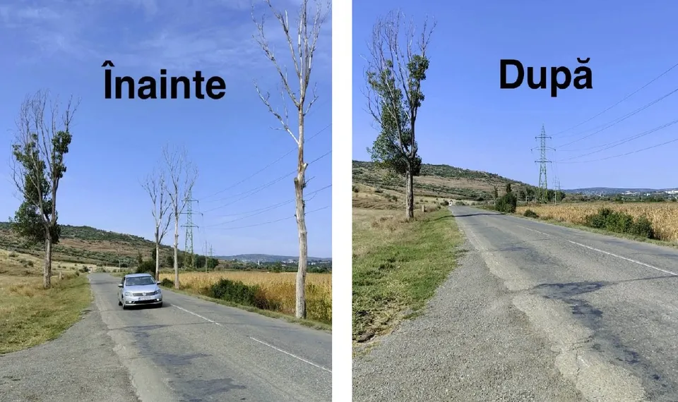 Imagine compusă cu un drum asfaltat, un autoturism argintiu și arbori înalți pe marginea drumului, prezentând o comparație între două stări ale peisajului.