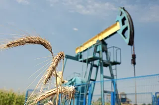 O unitate de pompare de petrol de culoare albastră se află în fundal, în spatele unor spicuri de grâu din prim-plan.