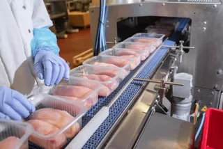 O persoană cu mâini în mănuși albastre așază pachete de carne de pui în containere de plastic pe o bandă de transport metalică.