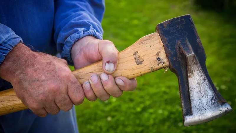 Mâinile unui bărbat ținând un mâner de lemn al unei secure cu cap metalic deasupra unui fundal verde.