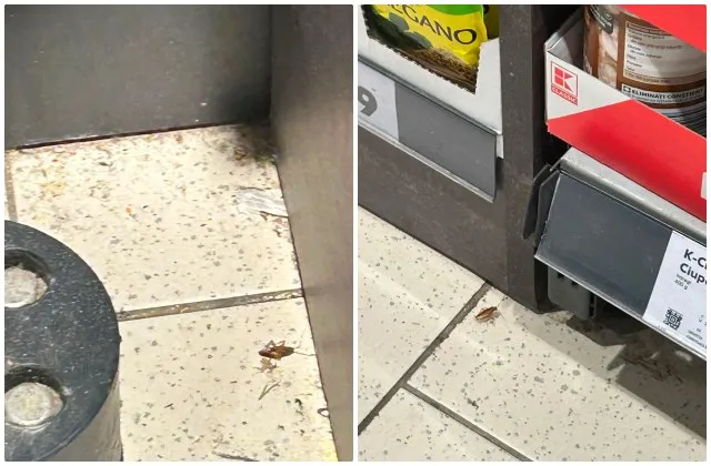 Două imagini arată un gândac pe podeaua de faianță lângă un raft de supermarket.
