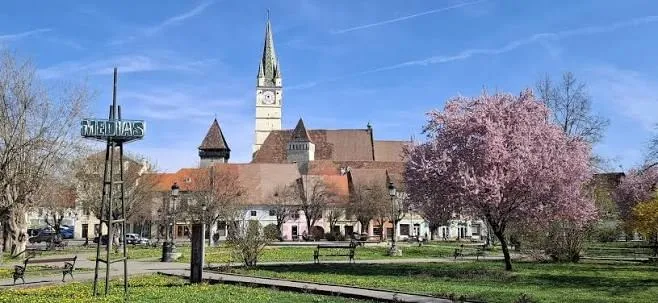 O clădire cu un turn înalt și un ceas se ridică deasupra unor case cu acoperișuri în spatele unui parc cu un copac cu flori roz.
