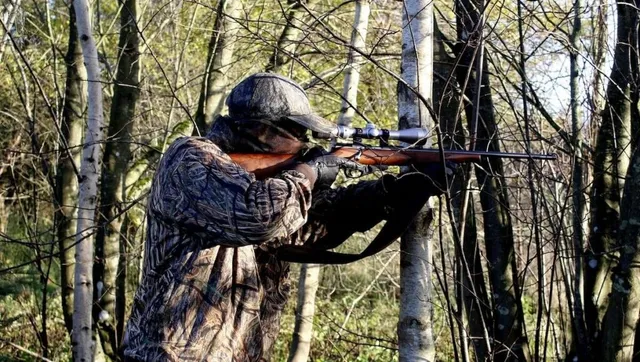 O persoană îmbrăcată în haine de camuflaj ține o pușcă cu lunetă în poziție de tragere printre copaci subliniați de lumina soarelui.