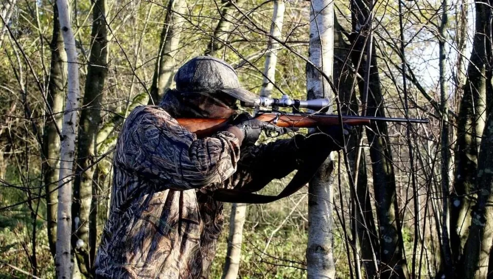 O persoană îmbrăcată în haine de camuflaj ține o pușcă cu lunetă în poziție de tragere printre copaci subliniați de lumina soarelui.