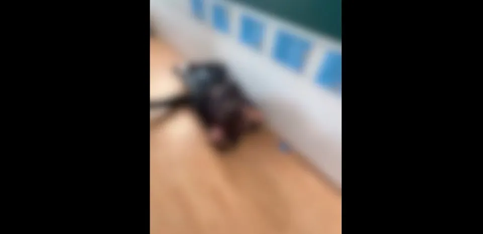 Imaginea este extrem de neclară și blurată, nepermițând identificarea oricăror forme, obiecte sau persoane distincte.