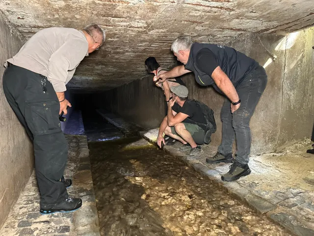 Cinci bărbați privesc într-un canal îngust de piatră sub o structură de beton cu lumină difuză.
