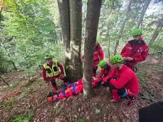 Echipe de salvatori în costume roșii și casci verzi stau pe un teren împădurit lângă o persoană transportată pe o plăciță de salvare roșie.