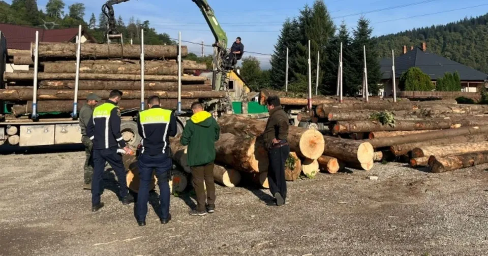 Un grup de persoane stă lângă stive de bușteni de lemn și un camion încărcat cu trunchiuri într-o zonă deschisă cu copaci în fundal.