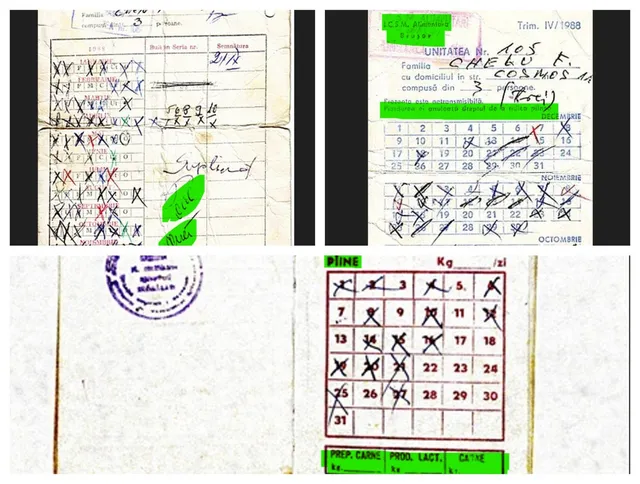 Colaj de documente manuscrise, calendare tăiate, ștampile și etichete verzi, cu tabele, bifări și inscripții parțial lizibile.