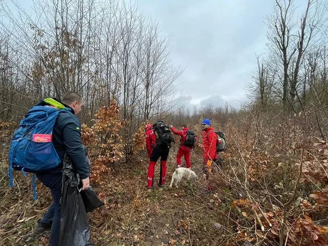 Patru bărbați cu rucsacuri și un câine se deplasează printr-o zonă împădurită, cu copaci fără frunze și vegetație uscată.