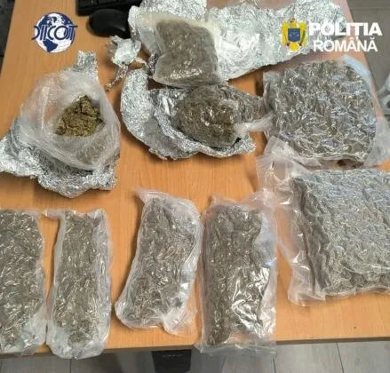 Mai multe pungi de plastic transparente conținând o substanță vegetală uscată sunt așezate pe o suprafață de lemn lângă folii de aluminiu.