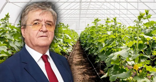 Un bărbat cu ochelari, purtând sacou albastru și cravată roșie, este suprapus pe o imagine cu plante verzi crescute într-o seră.