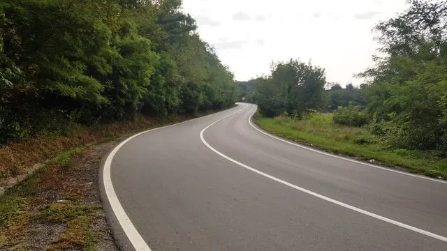 O stradă asfaltată cu linii albe pe margini și la mijloc curbează spre stânga printre copaci și vegetație verde.