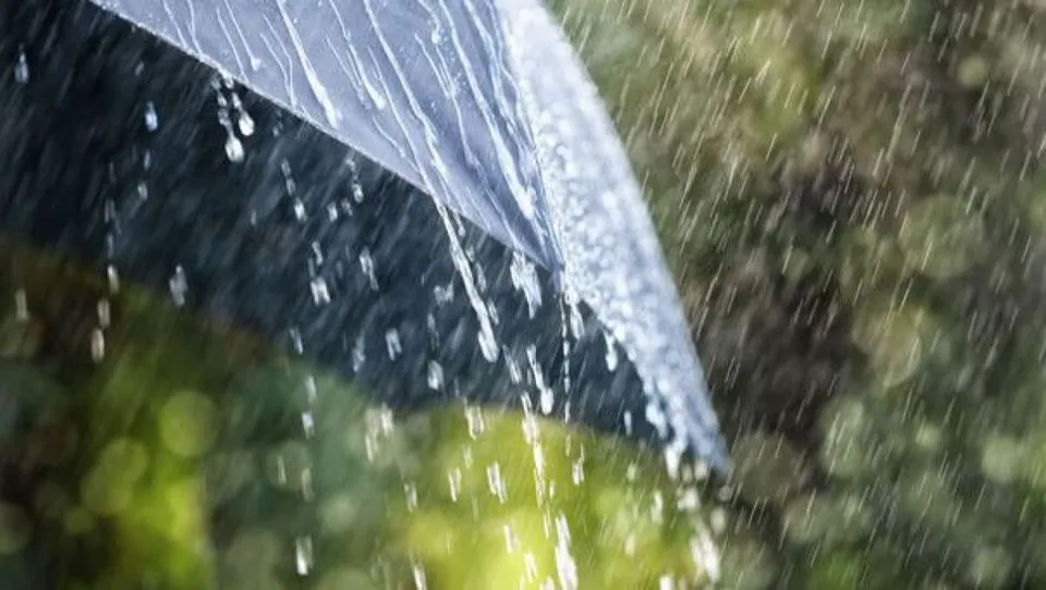 Picături de apă curg de pe marginea unei umbrele deschise sub o ploaie intensă, pe un fundal verde neclar.