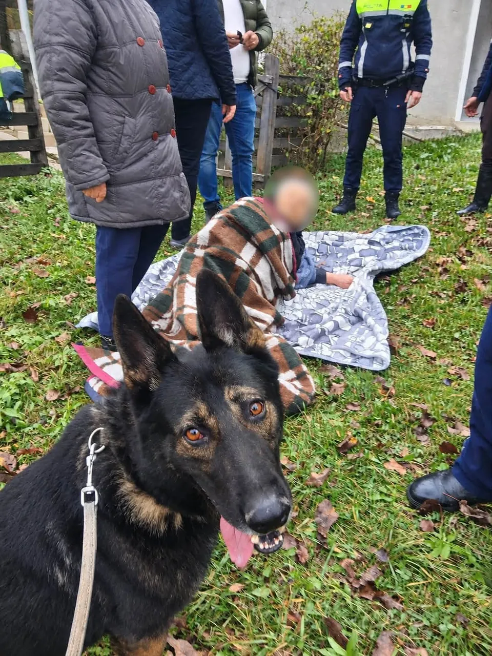Un câine de culoare neagră cu blană maro stă în prim-plan pe iarbă, în timp ce o persoană este întinsă pe o pătură în fundal.