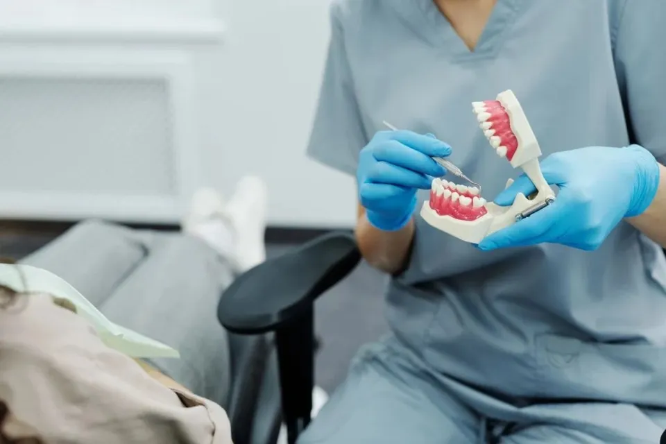 O persoană în halat gri și mănuși albastre ține un model dentar de plastic în timp ce folosește o instrumentație medicală subțire.