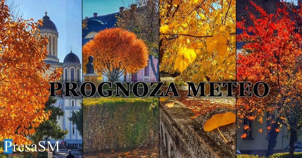 Un colaj format din patru secțiuni verticale prezentând copaci cu frunze colorate de toamnă și clădiri în fundal.