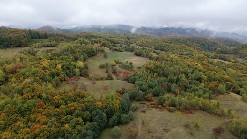 O vedere aeriană asupra unui peisaj format din dealuri acoperite de păduri cu frunziș colorat și câteva zone deschise de iarbă sub un cer înnorat.