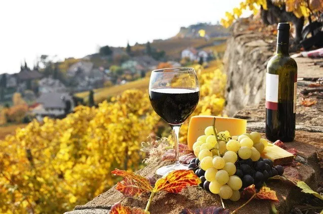 O sticlă de vin, un pahar cu vin roșu, brânză și struguri sunt așezate pe un soclu de piatră în fața unui deal cu viile galbene.