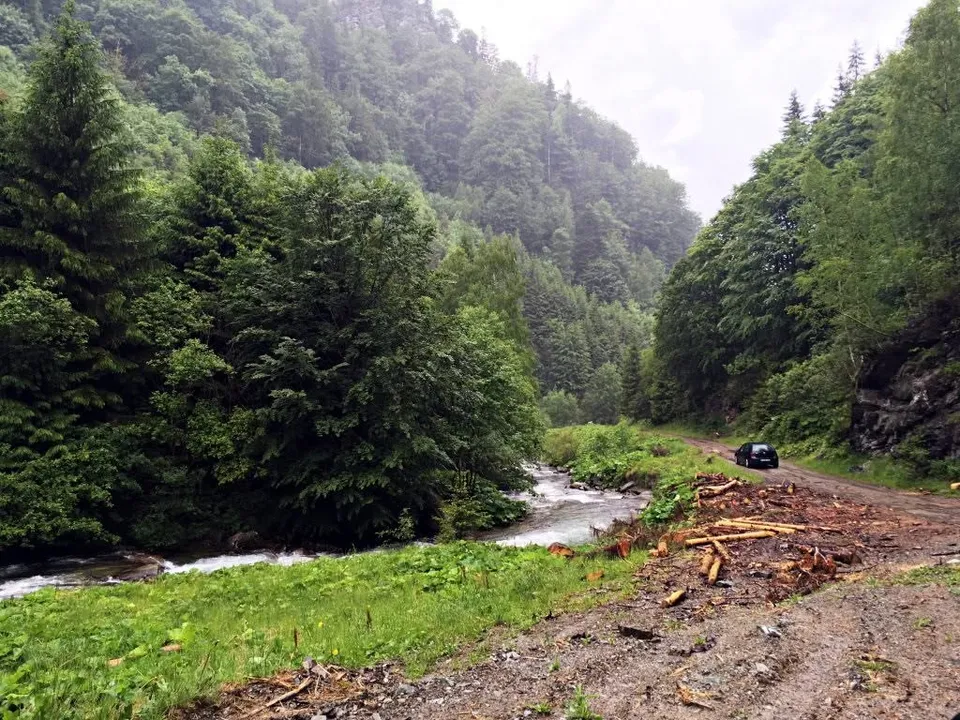 Un drum de pământ accidentat trece pe lângă un râu care curge printre copaci și vegetație abundentă într-o zonă muntoasă.