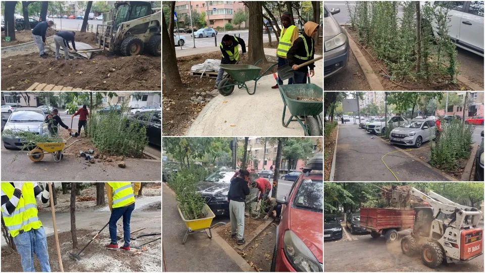 Mai mulți lucrători cu veste reflectorizante folosesc un cărucior și unelte pe un teren cu pământ, plante și utilaje de construcții.