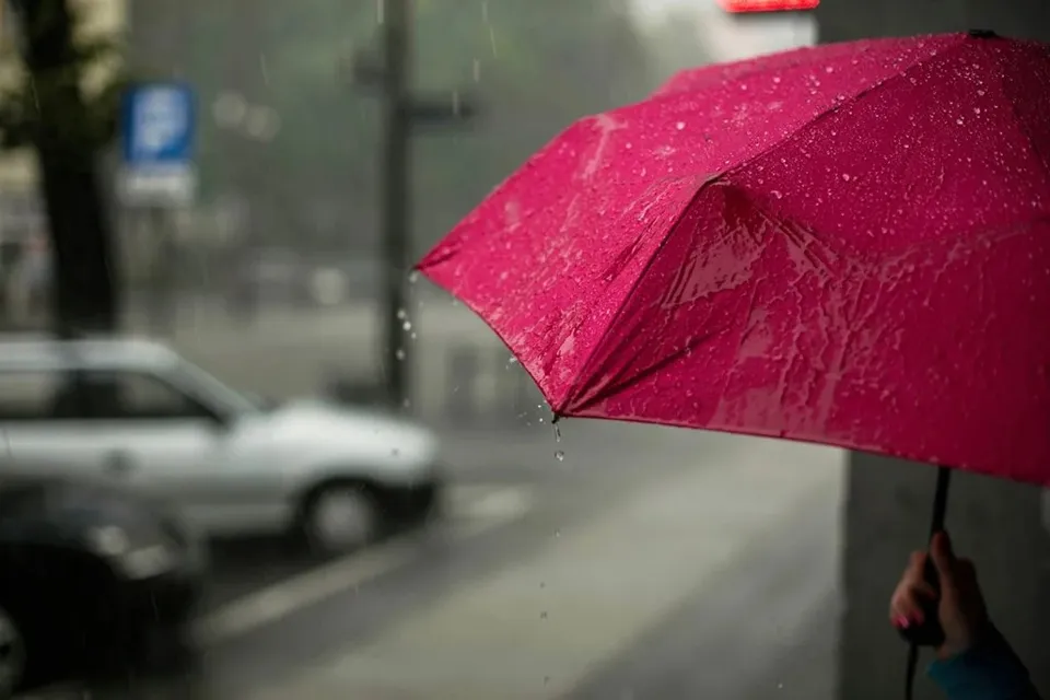 O persoană ține o umbrelă roz sub ploaie, în timp ce un autoturism alb este parcat pe un drum umed în fundalul neclar.