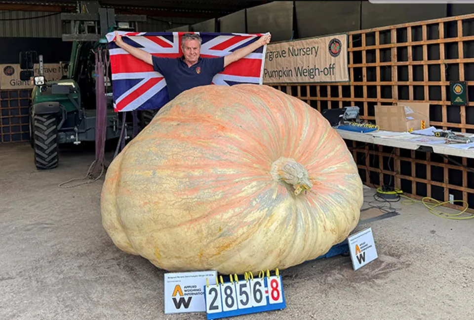 Un bărbat stă în spatele unui dovleac uriaș, ținând un steag britanic desfășurat pe umeri, lângă un cântar digital cu cifrele 28568.