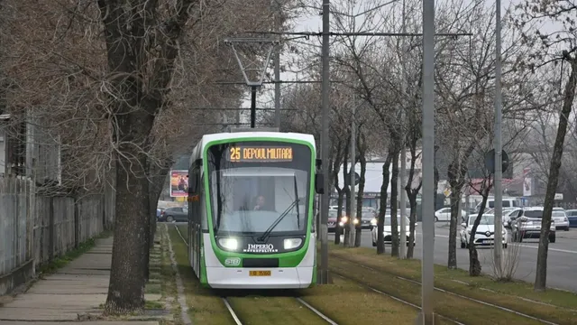 Un tramvai alb cu detalii verzi circulă pe șine între copaci fără frunze, lângă un drum cu mașini și stâlpi de utilități.