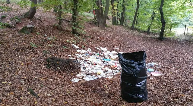 Un sac de gunoi negru și diverse resturi de deșeuri albe sunt întinse pe un sol acoperit cu frunze uscate într-o pădure.